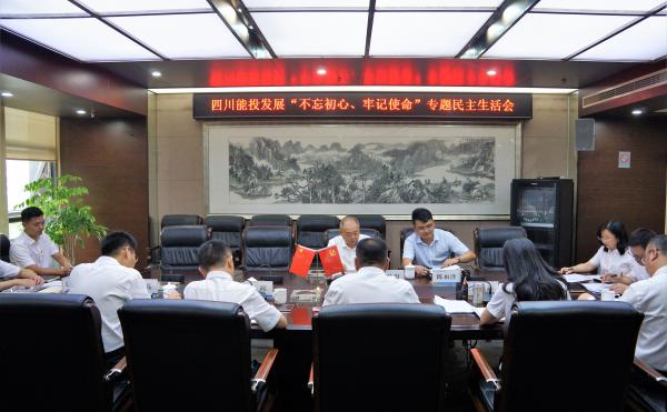 四川能投發(fā)展黨委召開“不忘初心、牢記使命”專...
